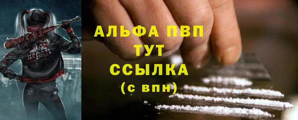твердый Дмитров