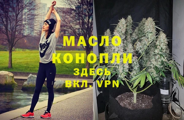твердый Дмитров