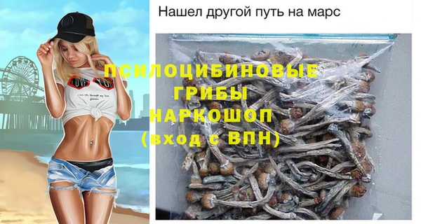 твердый Дмитров