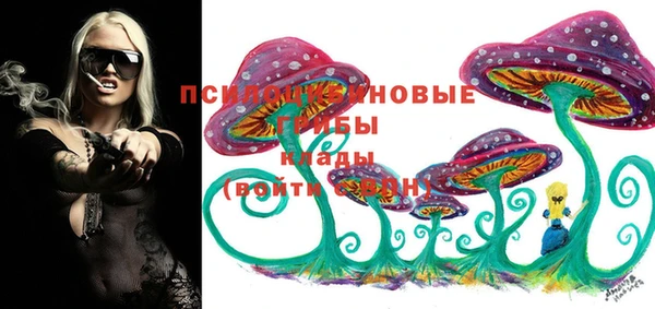 прущая мука Дмитровск