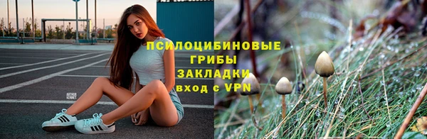 прущая мука Дмитровск