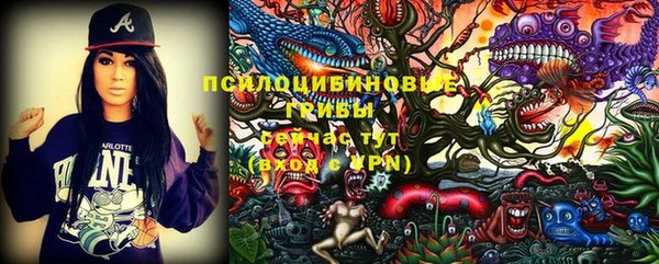 прущая мука Дмитровск