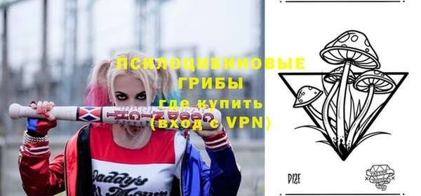 метадон Дмитриев