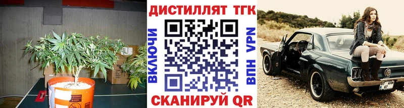 Купить закладки Калач Дистиллят ТГК THC oil